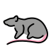 :rat:
